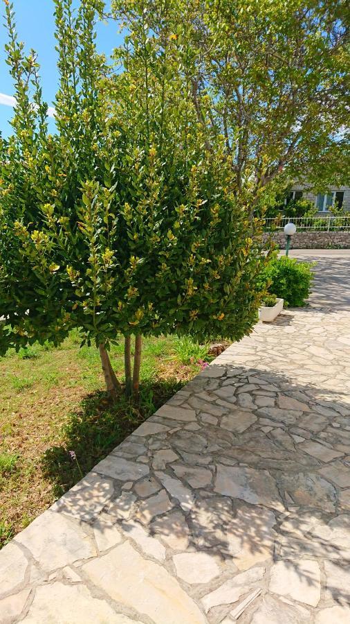 Apartments Vesna Kampor Екстер'єр фото